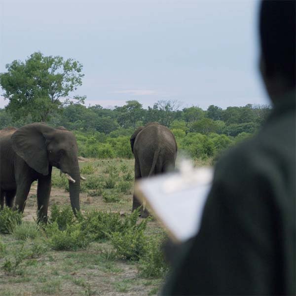 Research - elephantCREW