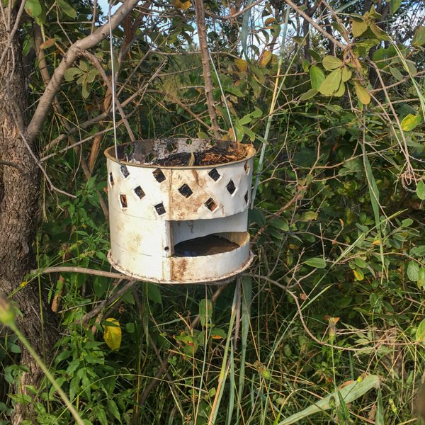 Community - elephantCREW