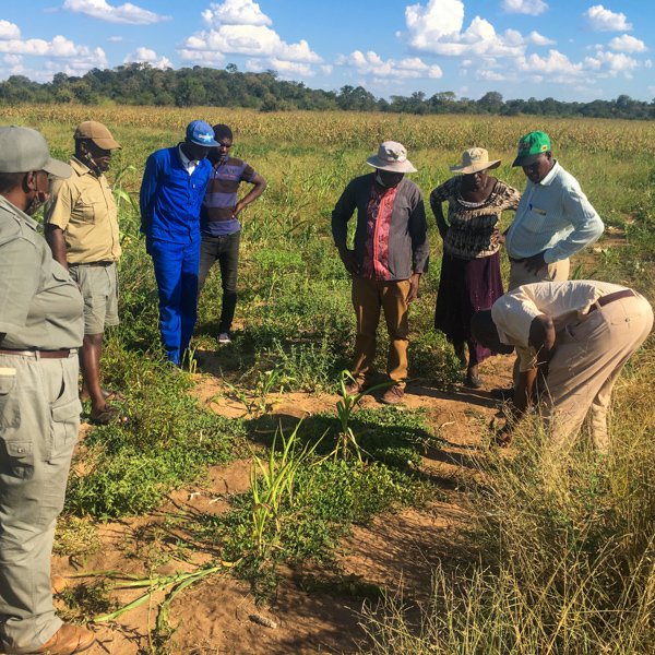 Community - elephantCREW