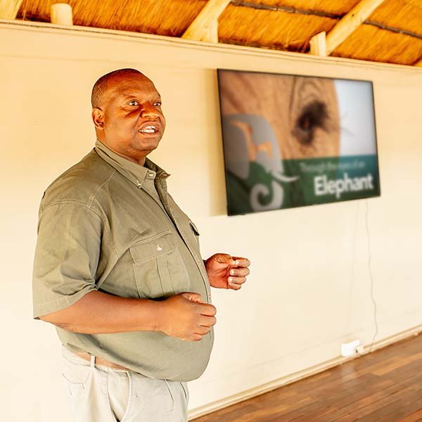 Education - elephantCREW