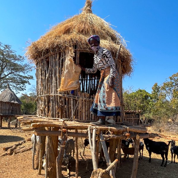 Community - elephantCREW