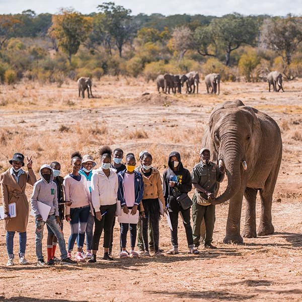 Education - elephantCREW