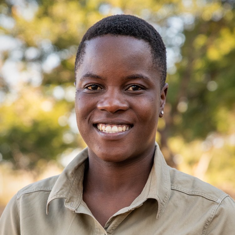 Welfare - elephantCREW