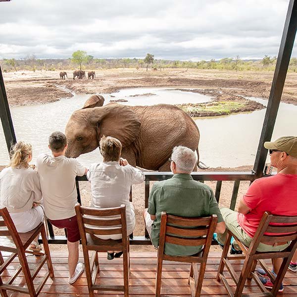 Education - elephantCREW