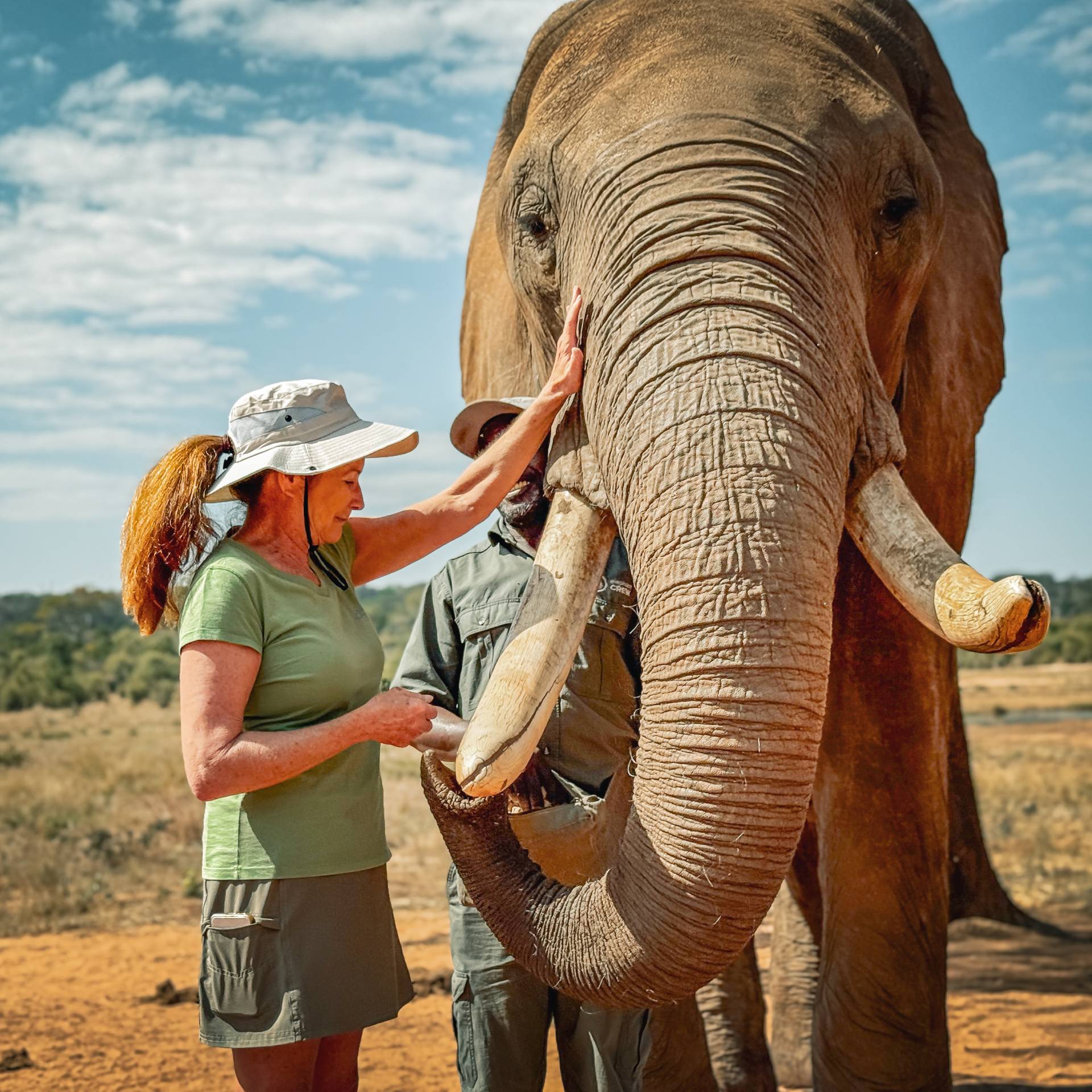 Volunteer helps with feeding the Elephants.